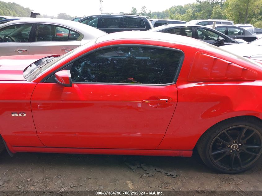 Photo 13 VIN: 1ZVBP8CFXE5252204 - FORD MUSTANG 