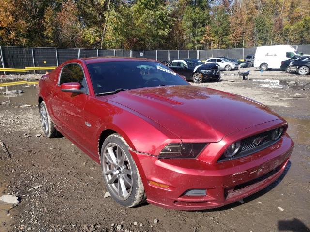 Photo 0 VIN: 1ZVBP8CFXE5256401 - FORD MUSTANG GT 