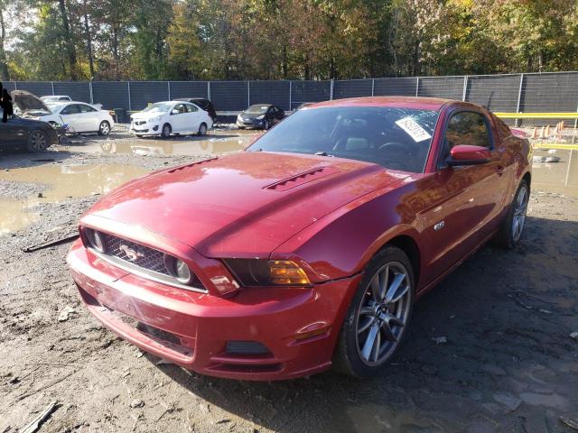 Photo 1 VIN: 1ZVBP8CFXE5256401 - FORD MUSTANG GT 