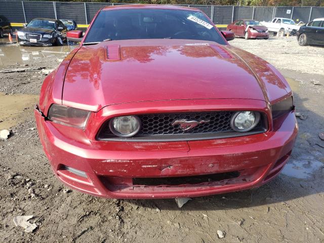 Photo 8 VIN: 1ZVBP8CFXE5256401 - FORD MUSTANG GT 