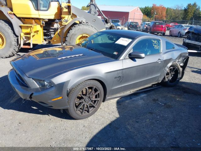 Photo 1 VIN: 1ZVBP8CFXE5273845 - FORD MUSTANG 