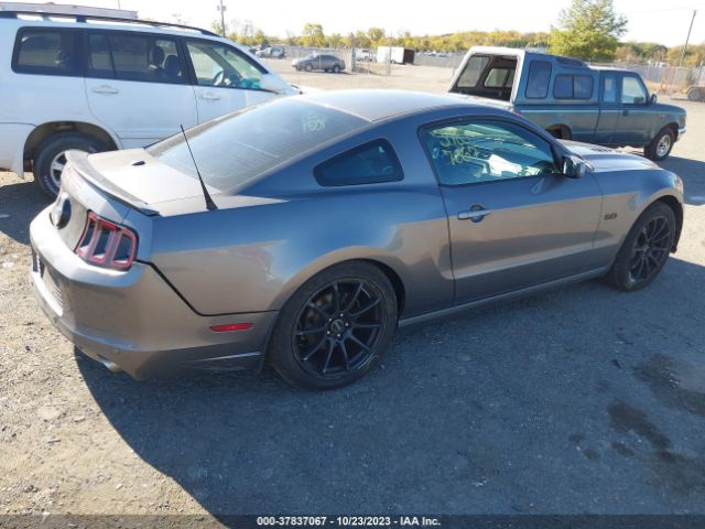 Photo 3 VIN: 1ZVBP8CFXE5273845 - FORD MUSTANG 