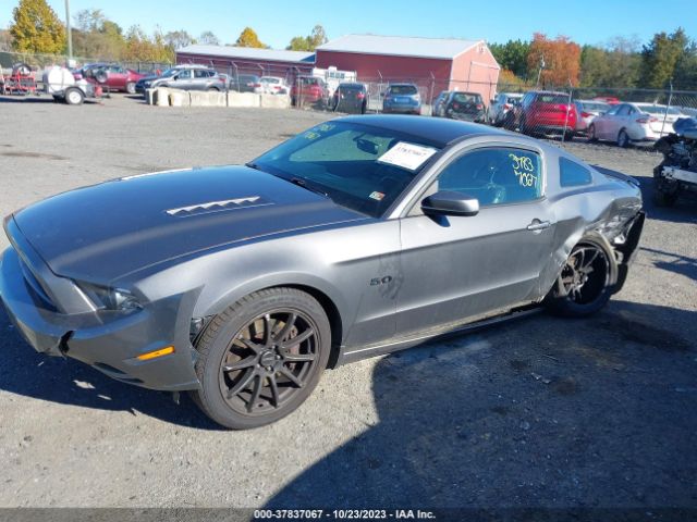 Photo 5 VIN: 1ZVBP8CFXE5273845 - FORD MUSTANG 