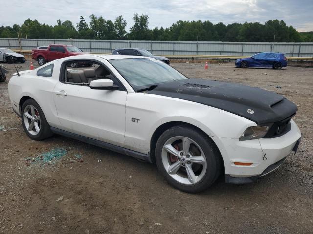 Photo 3 VIN: 1ZVBP8CH0A5120340 - FORD MUSTANG 