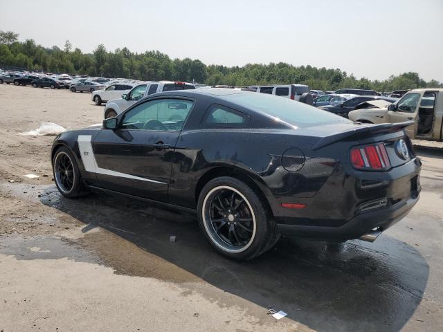 Photo 1 VIN: 1ZVBP8CH1A5164556 - FORD MUSTANG GT 