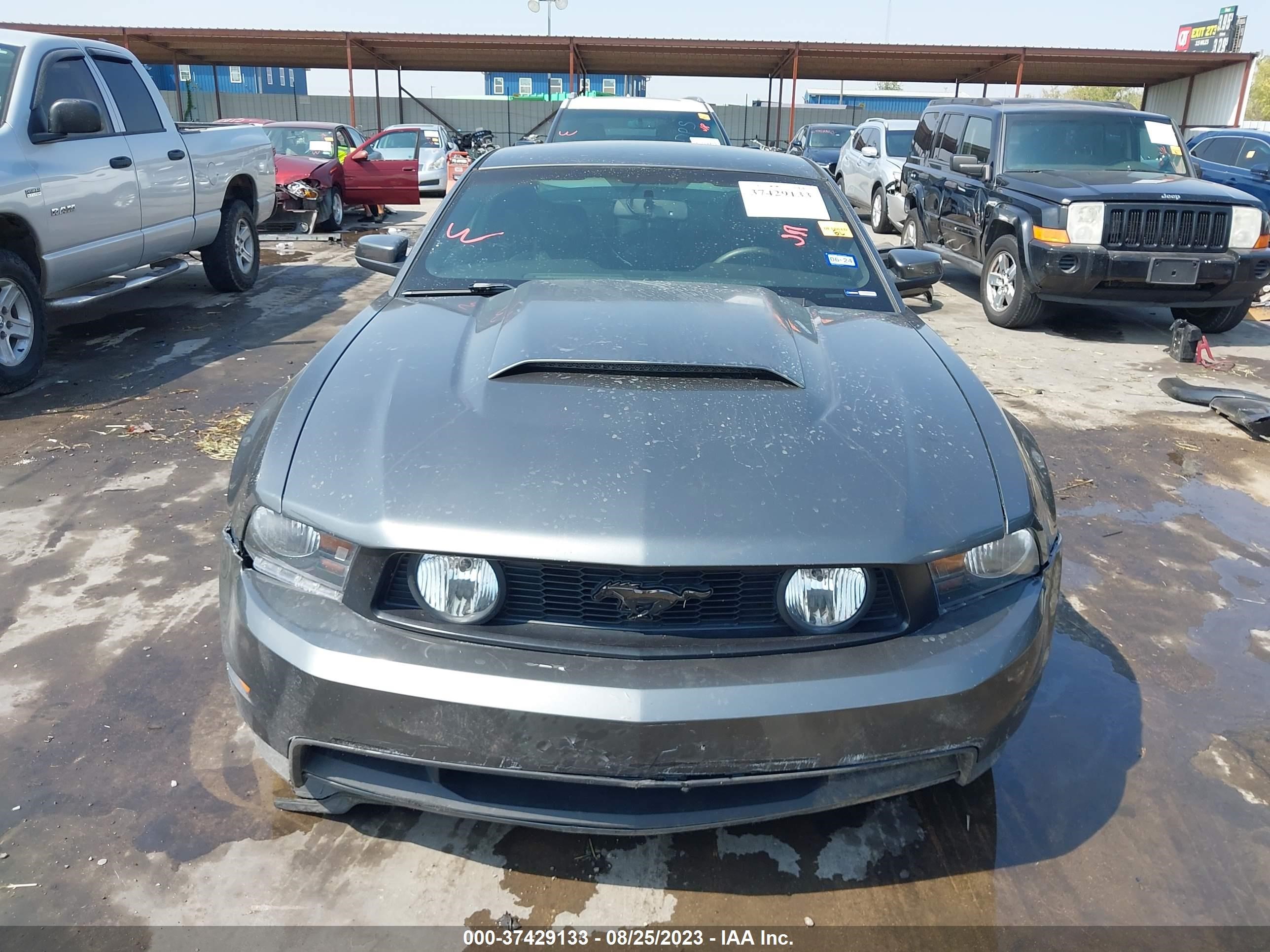 Photo 12 VIN: 1ZVBP8CH3A5102205 - FORD MUSTANG 