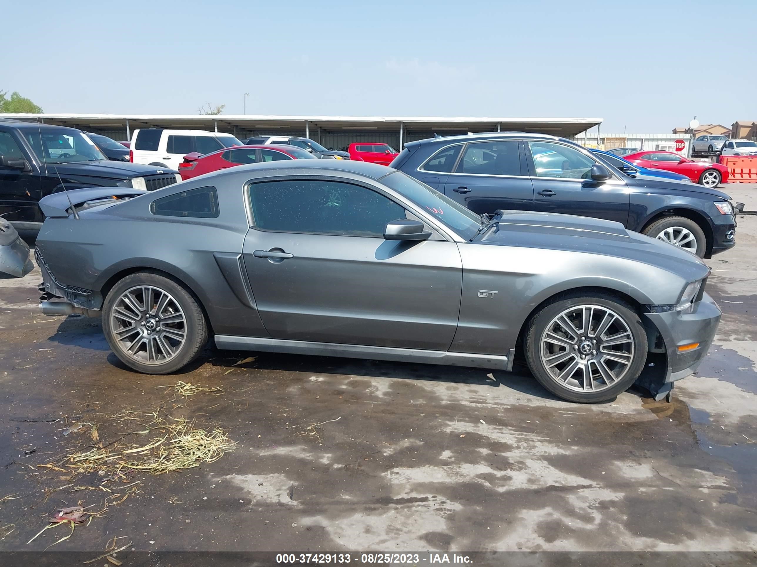 Photo 13 VIN: 1ZVBP8CH3A5102205 - FORD MUSTANG 