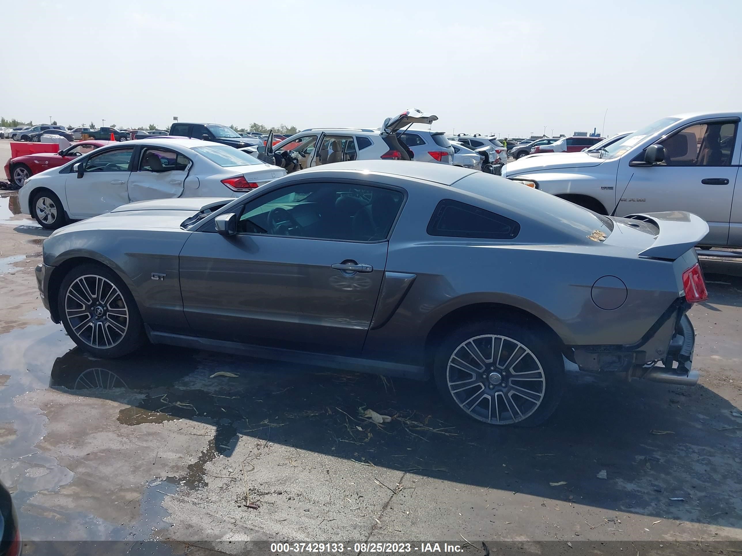 Photo 14 VIN: 1ZVBP8CH3A5102205 - FORD MUSTANG 