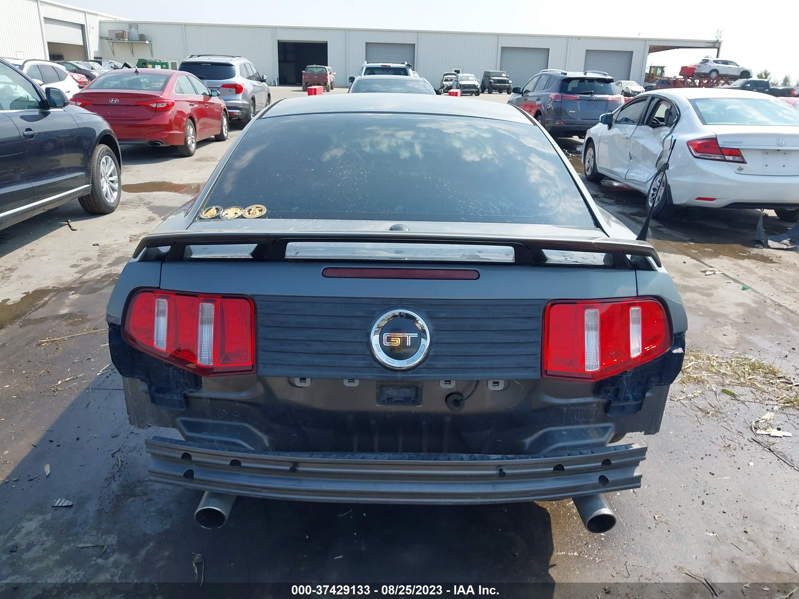 Photo 16 VIN: 1ZVBP8CH3A5102205 - FORD MUSTANG 