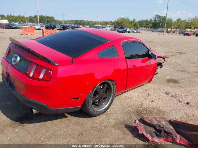 Photo 3 VIN: 1ZVBP8CH3A5144552 - FORD MUSTANG 