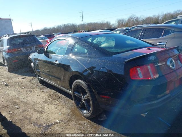 Photo 2 VIN: 1ZVBP8CH6A5179750 - FORD MUSTANG 