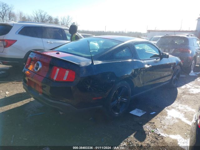 Photo 3 VIN: 1ZVBP8CH6A5179750 - FORD MUSTANG 