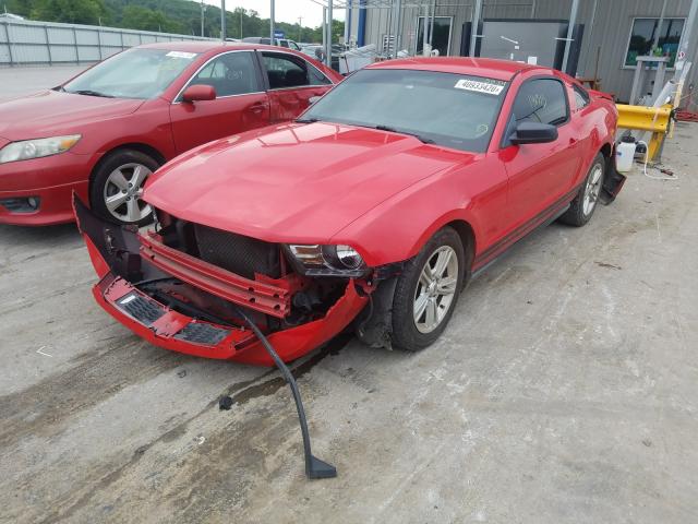 Photo 1 VIN: 1ZVBP8CHXA5135895 - FORD MUSTANG GT 