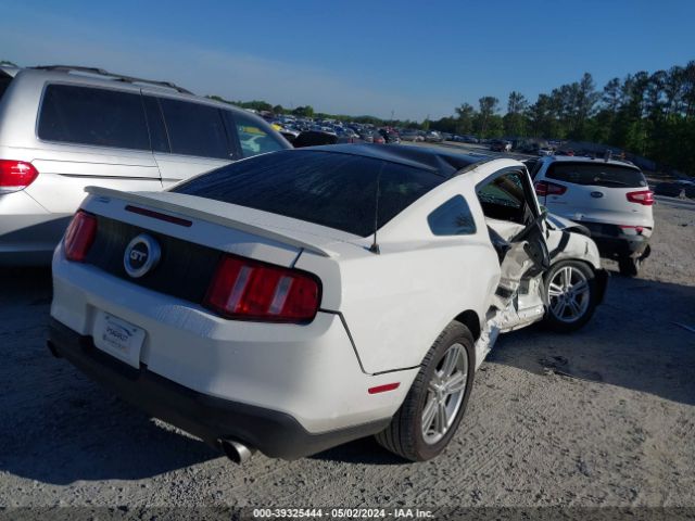 Photo 3 VIN: 1ZVBP8CHXA5156052 - FORD MUSTANG 