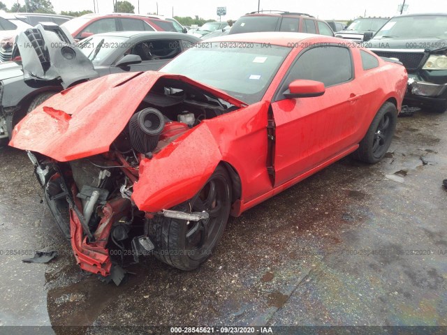 Photo 1 VIN: 1ZVBP8CU9D5253602 - FORD MUSTANG 