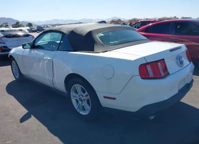 Photo 2 VIN: 1ZVBP8EM0B5118213 - FORD MUSTANG 