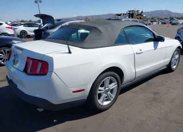 Photo 3 VIN: 1ZVBP8EM0B5118213 - FORD MUSTANG 