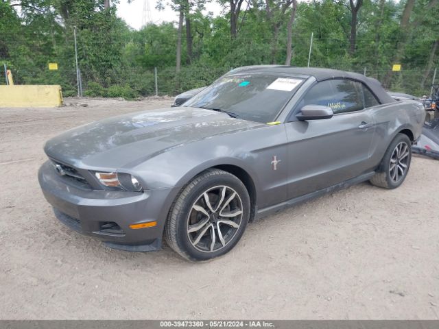 Photo 1 VIN: 1ZVBP8EM0B5124576 - FORD MUSTANG 