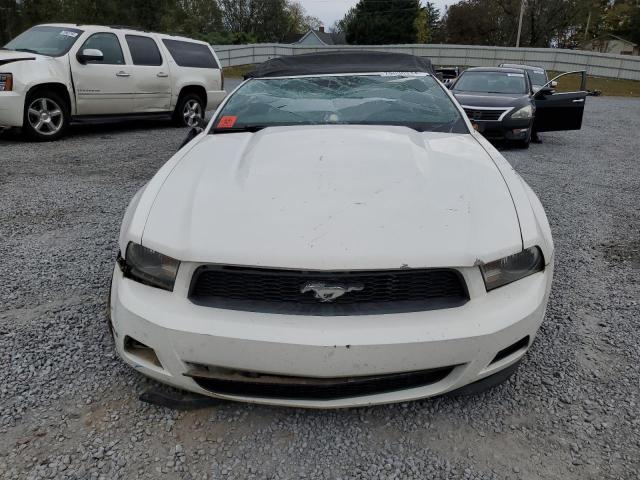 Photo 4 VIN: 1ZVBP8EM0C5210682 - FORD MUSTANG 