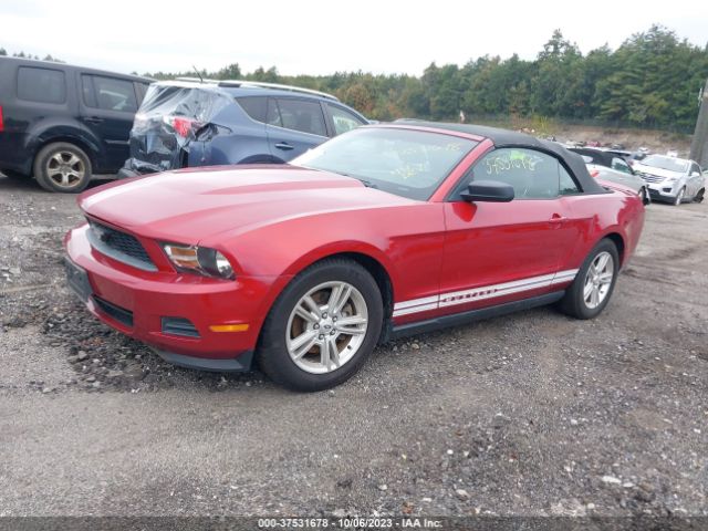 Photo 1 VIN: 1ZVBP8EM0C5226851 - FORD MUSTANG 