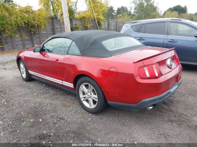 Photo 2 VIN: 1ZVBP8EM0C5226851 - FORD MUSTANG 