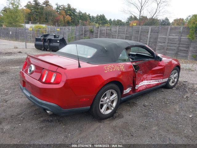 Photo 3 VIN: 1ZVBP8EM0C5226851 - FORD MUSTANG 