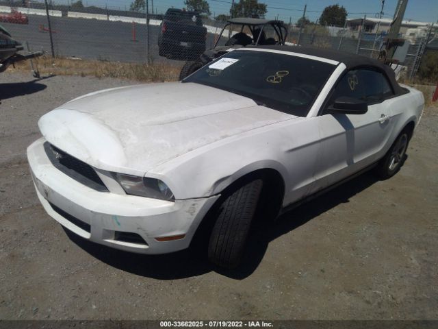 Photo 1 VIN: 1ZVBP8EM0C5237140 - FORD MUSTANG 