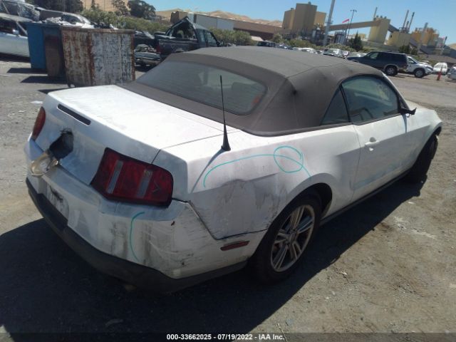 Photo 3 VIN: 1ZVBP8EM0C5237140 - FORD MUSTANG 