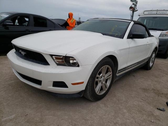 Photo 1 VIN: 1ZVBP8EM0C5257338 - FORD MUSTANG 