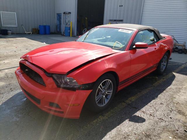 Photo 1 VIN: 1ZVBP8EM0D5202812 - FORD MUSTANG 