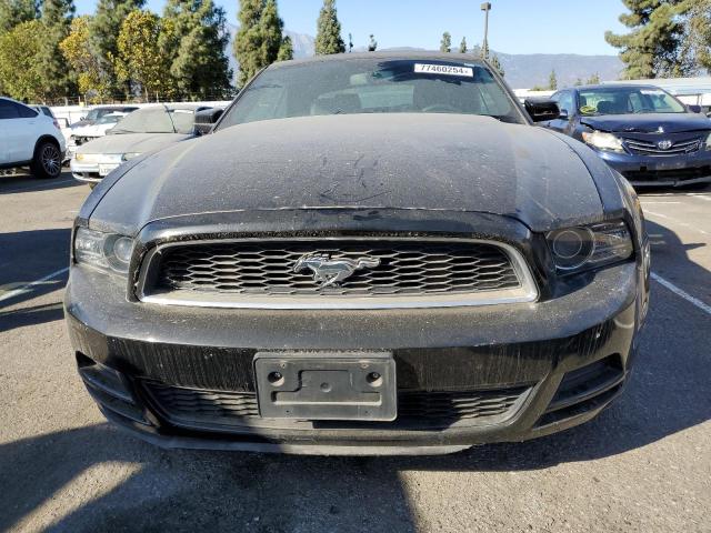 Photo 4 VIN: 1ZVBP8EM0E5208191 - FORD MUSTANG 