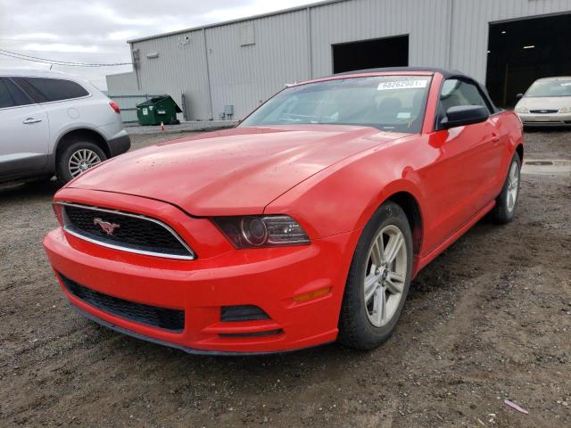 Photo 1 VIN: 1ZVBP8EM0E5232135 - FORD MUSTANG 