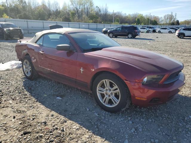 Photo 3 VIN: 1ZVBP8EM0E5287149 - FORD MUSTANG 