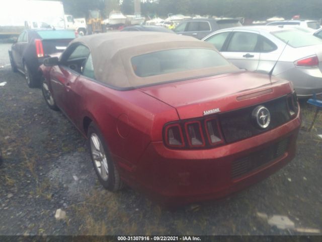 Photo 2 VIN: 1ZVBP8EM0E5322448 - FORD MUSTANG 