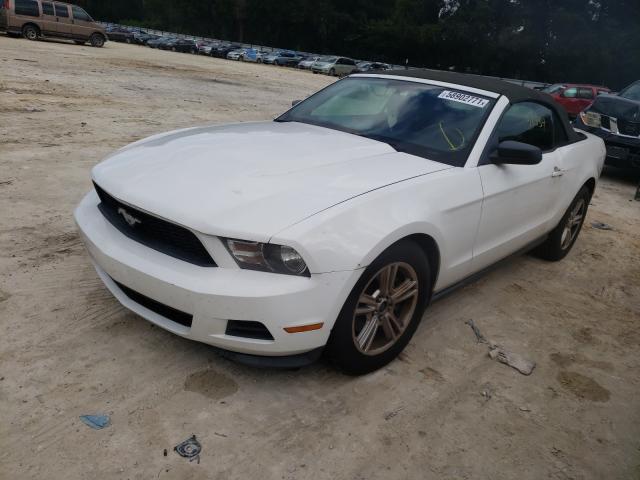 Photo 1 VIN: 1ZVBP8EM1B5129429 - FORD MUSTANG 