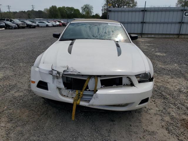 Photo 4 VIN: 1ZVBP8EM1B5161703 - FORD MUSTANG 