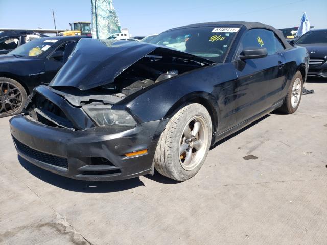 Photo 1 VIN: 1ZVBP8EM1D5203743 - FORD MUSTANG 