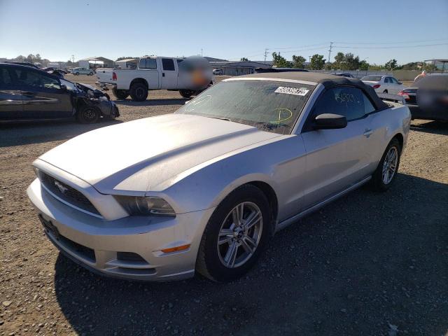 Photo 1 VIN: 1ZVBP8EM1D5224673 - FORD MUSTANG 