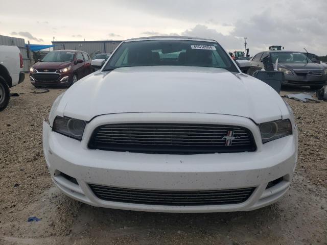 Photo 4 VIN: 1ZVBP8EM1E5240115 - FORD MUSTANG 