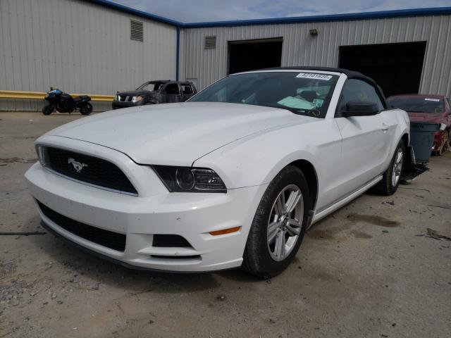 Photo 1 VIN: 1ZVBP8EM1E5282722 - FORD MUSTANG 