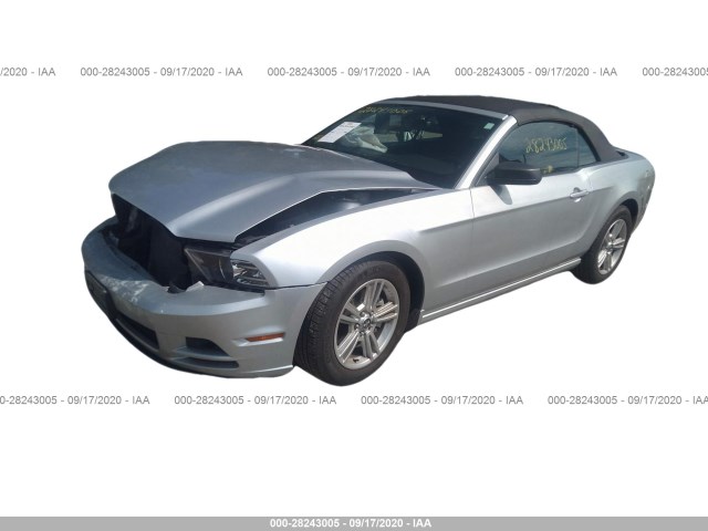 Photo 1 VIN: 1ZVBP8EM1E5289556 - FORD MUSTANG 