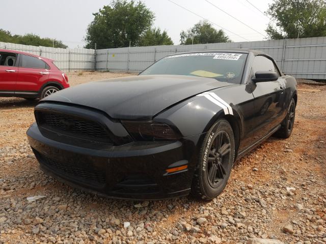 Photo 1 VIN: 1ZVBP8EM1E5302466 - FORD MUSTANG 