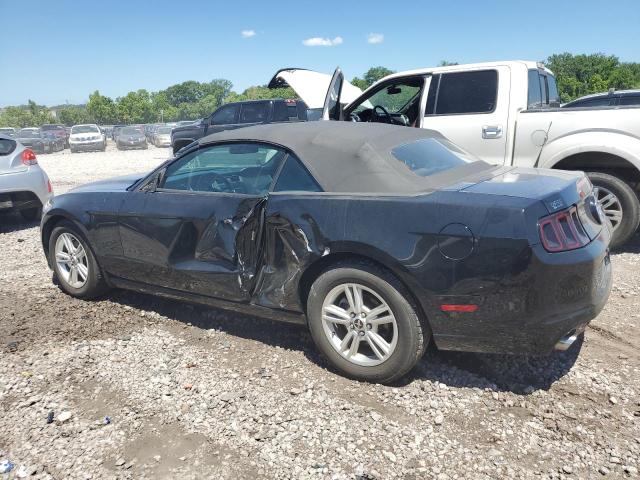 Photo 1 VIN: 1ZVBP8EM1E5322572 - FORD MUSTANG 