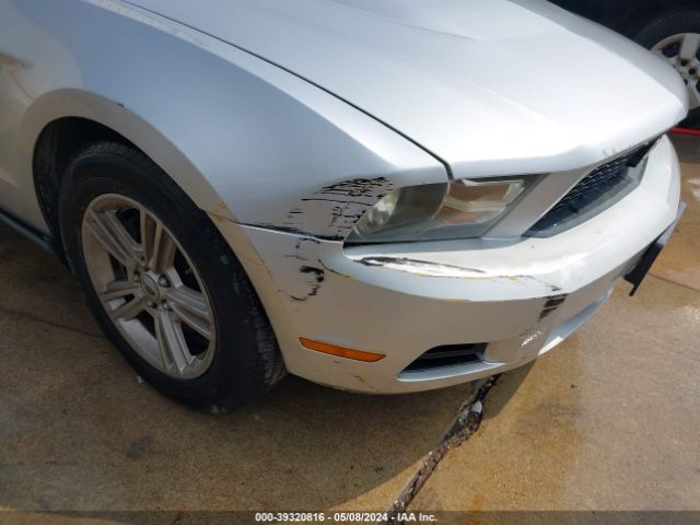 Photo 5 VIN: 1ZVBP8EM2C5212658 - FORD MUSTANG 