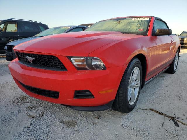 Photo 1 VIN: 1ZVBP8EM2C5257373 - FORD MUSTANG 