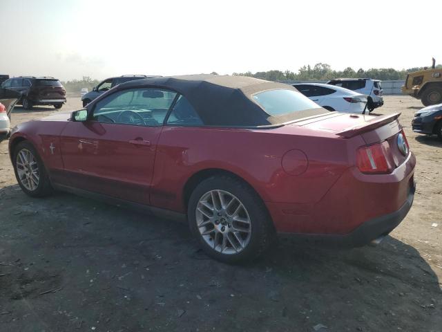 Photo 1 VIN: 1ZVBP8EM2C5258541 - FORD MUSTANG 