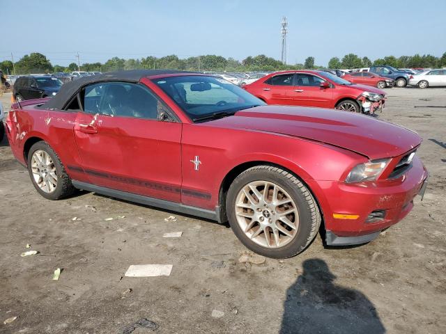 Photo 3 VIN: 1ZVBP8EM2C5258541 - FORD MUSTANG 