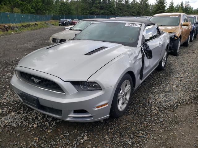 Photo 1 VIN: 1ZVBP8EM2D5203802 - FORD MUSTANG 