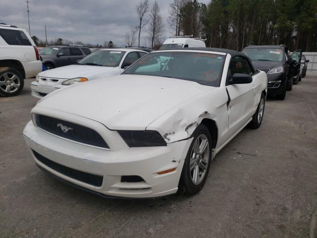 Photo 1 VIN: 1ZVBP8EM2D5239487 - FORD MUSTANG 