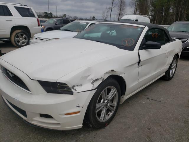 Photo 8 VIN: 1ZVBP8EM2D5239487 - FORD MUSTANG 